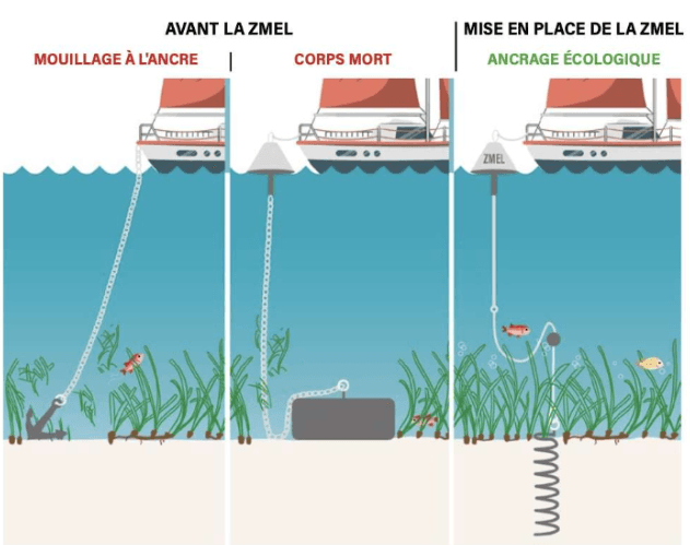 Mouillage écologique